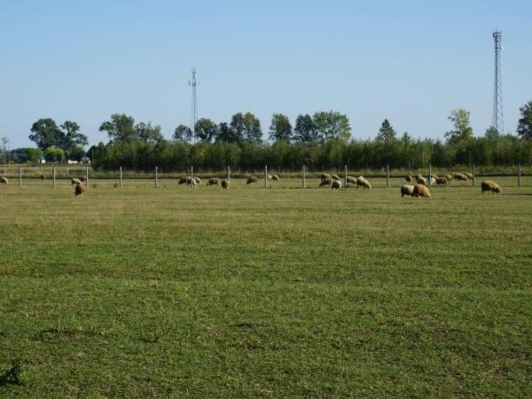 Domek Na Wsi-Agroturystyka Czyze Экстерьер фото